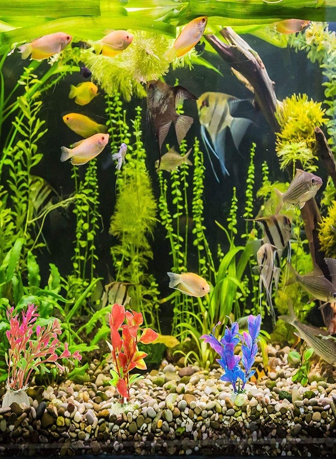 TRADESK Anky Aquarium Artificial Plant, for Aquarium Decoration, Functioning Healthy Fish Tank, Accessories for Fish Tank (Pack of 10) - Image 5